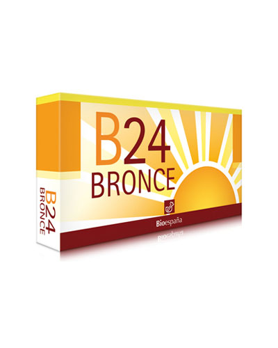 B24 Bronce